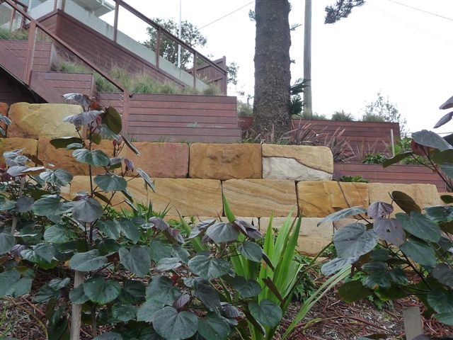16m high piling wall softened with landscaping .Toowoon Bay..